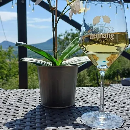 Cseppko House Vineyard & Panorama Szent-gyoergy Hegy בית נופש